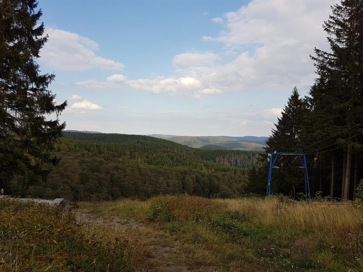 Ferienwohnungen Harz - Wieda Dış mekan fotoğraf